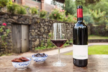 Tour pela vinícola e experiência de degustação de vinhos no Parque Nacional Etna